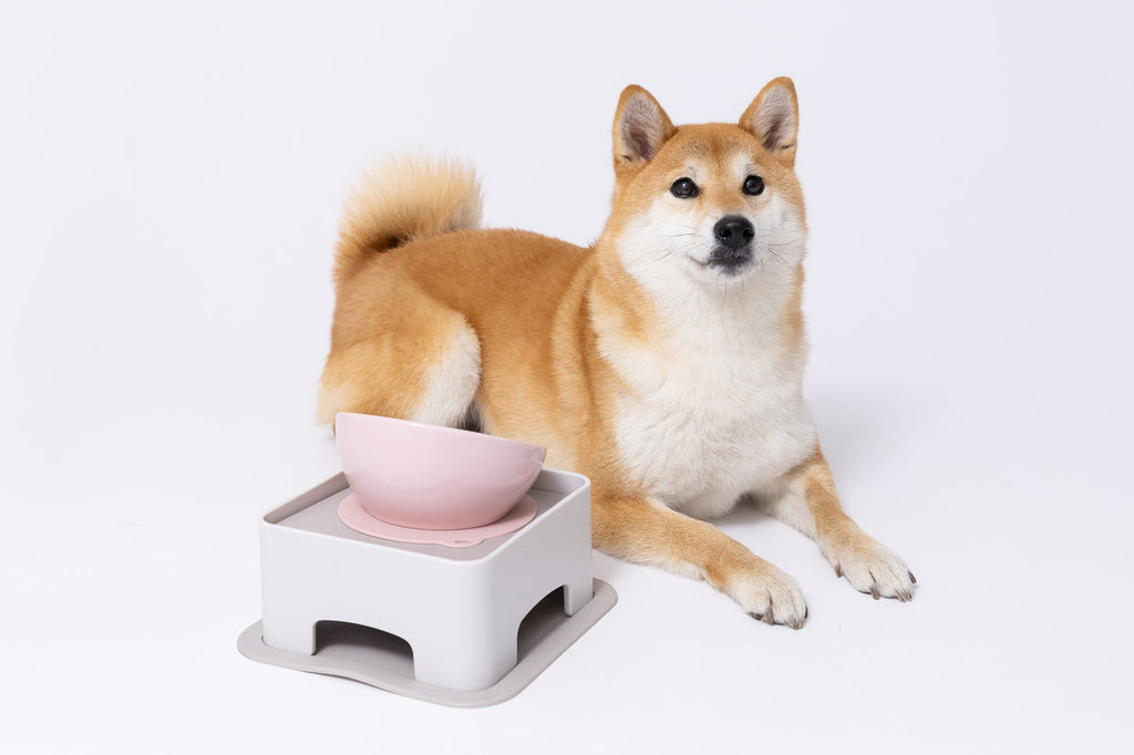 ブラックフライデー2025　日替わりセール　11/27