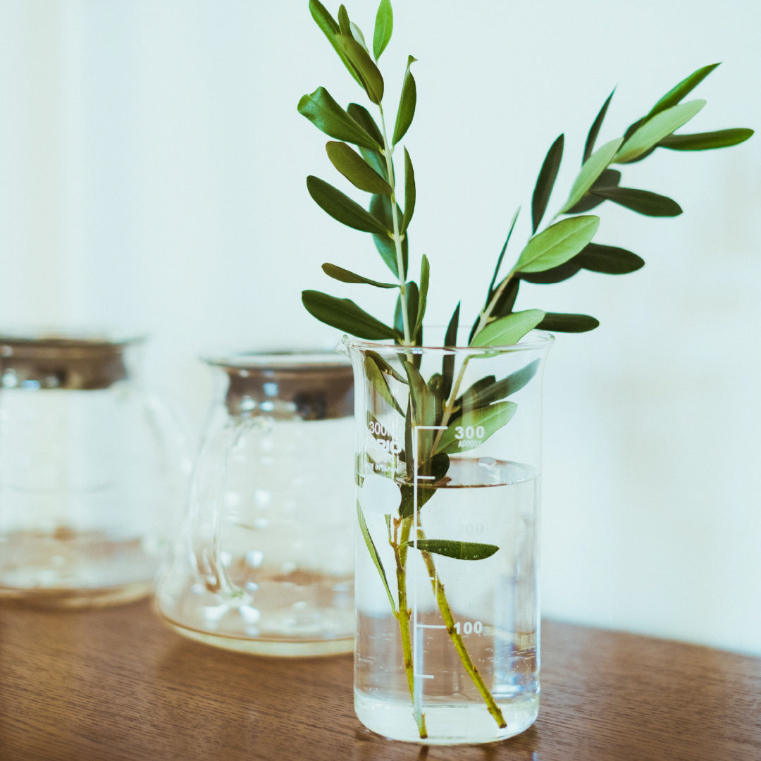 トールビーカー