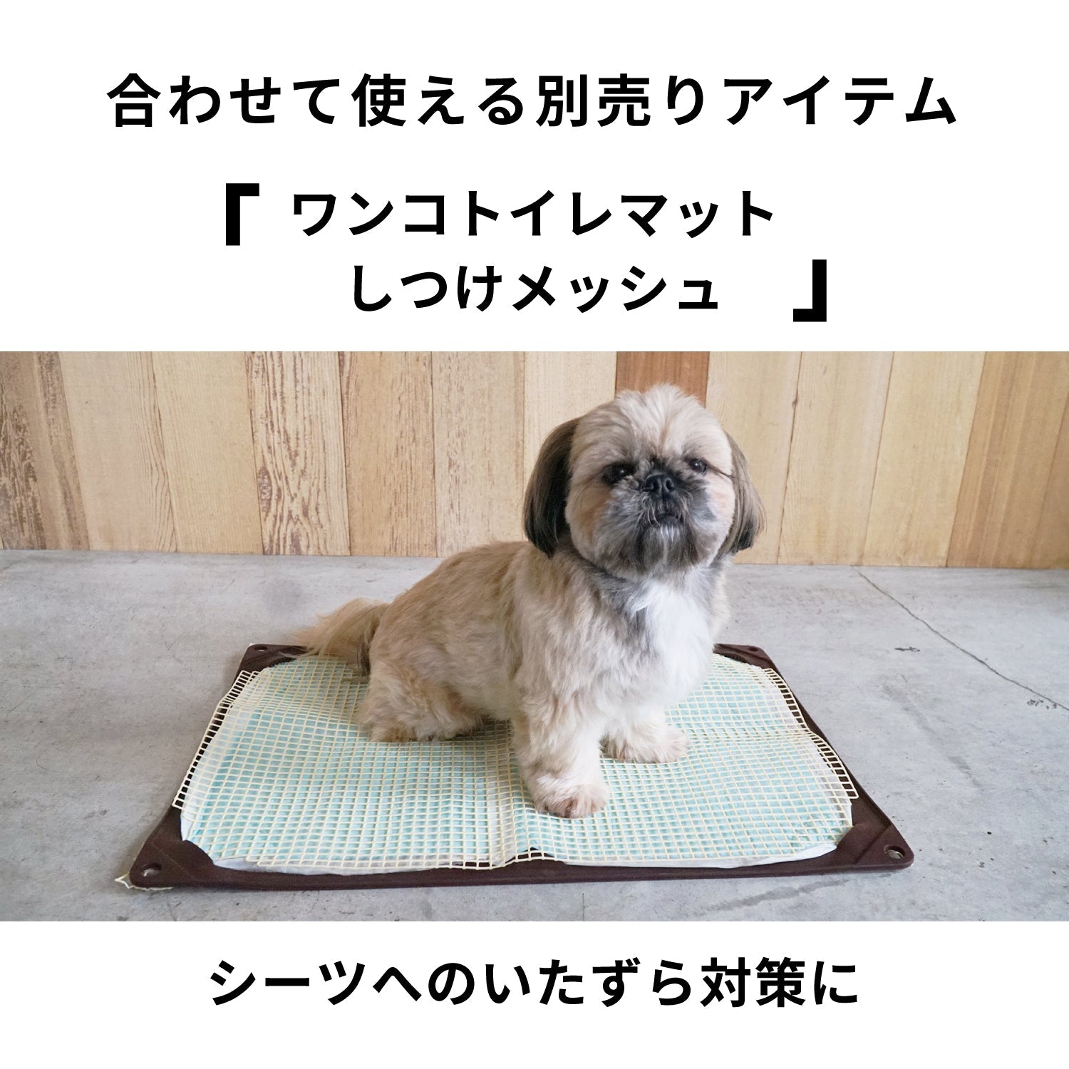 ワンコトイレマット レギュラー – HARIO NETSHOP