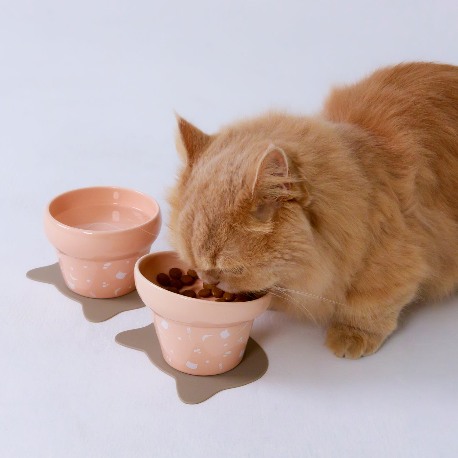 にゃんプレトール – HARIO NETSHOP