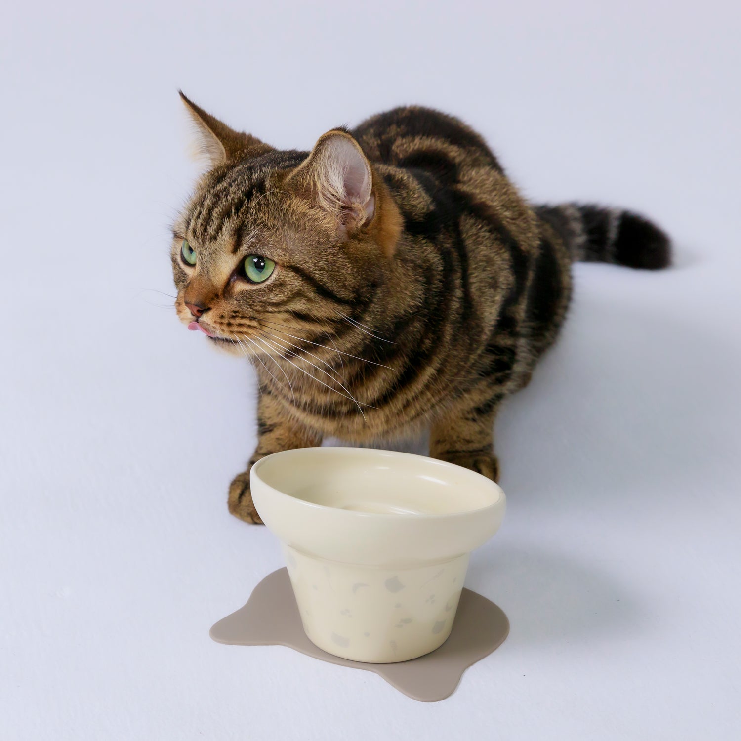 にゃんプレトール – HARIO NETSHOP