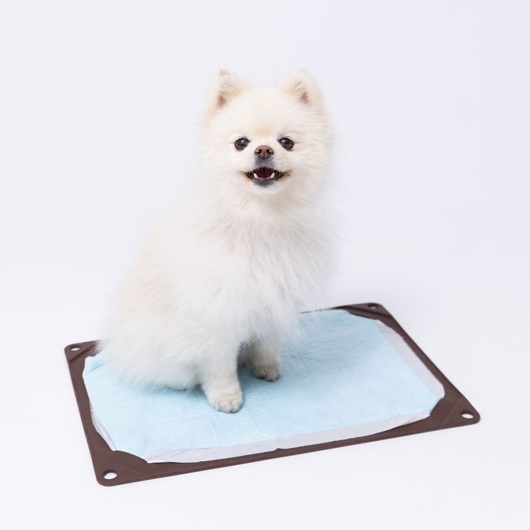 ワンコトイレマット レギュラー –犬用品なら HARIO NETSHOP