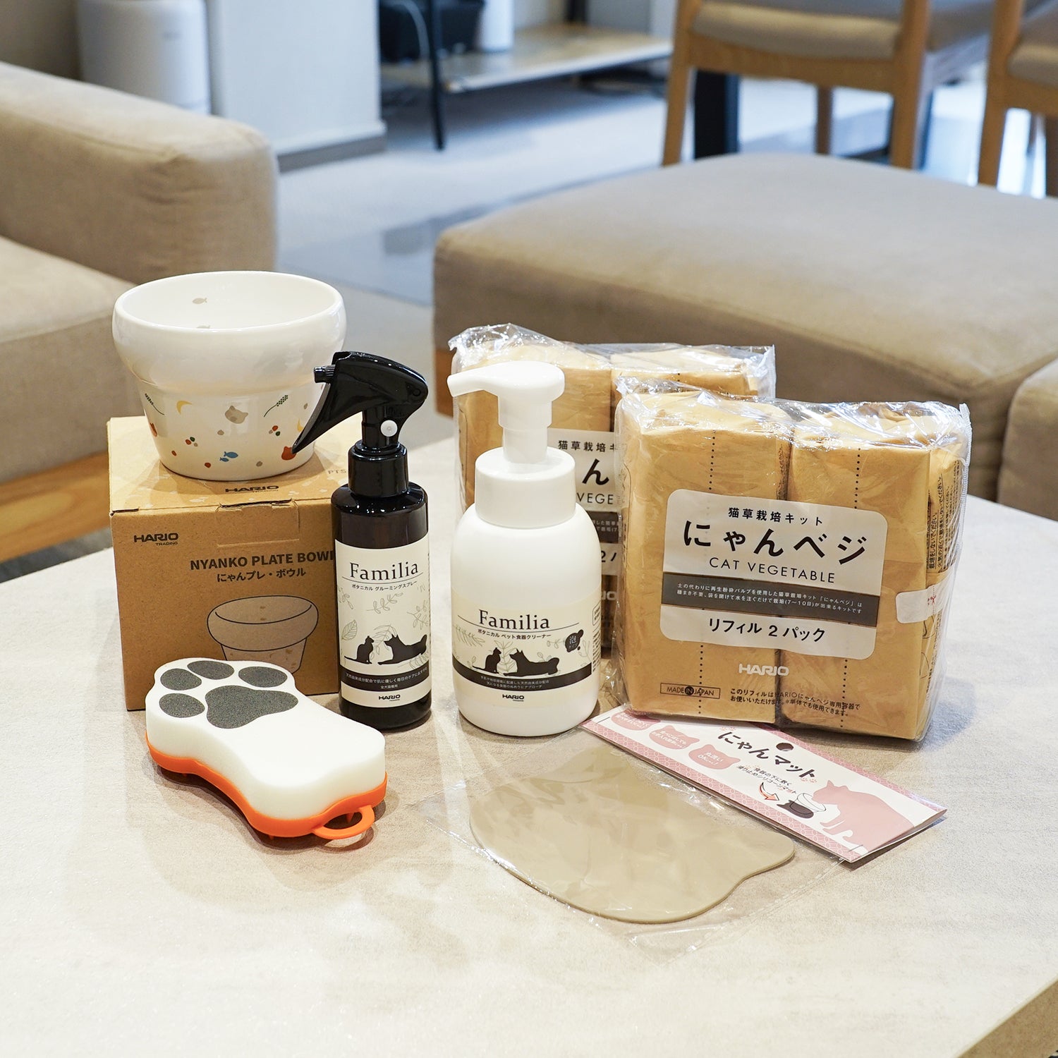 【1月26日～発送】2026年福袋　猫セット