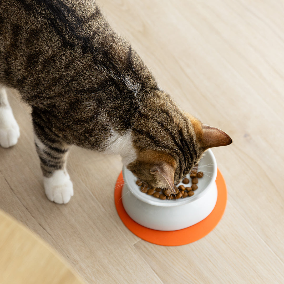 にゃんプレダブル –ペット用食器・給餌給水器なら HARIO NETSHOP