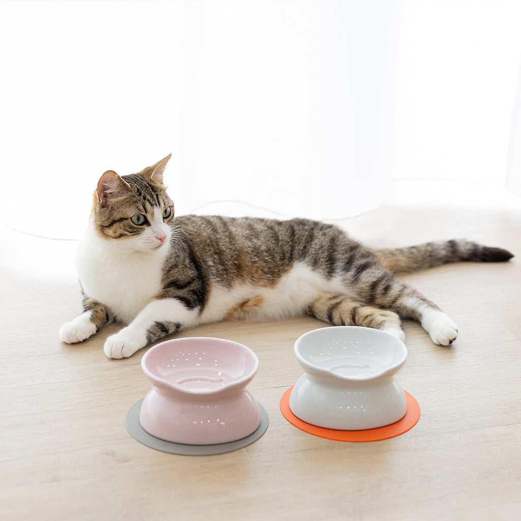 にゃんプレダブル –ペット用食器・給餌給水器なら HARIO NETSHOP