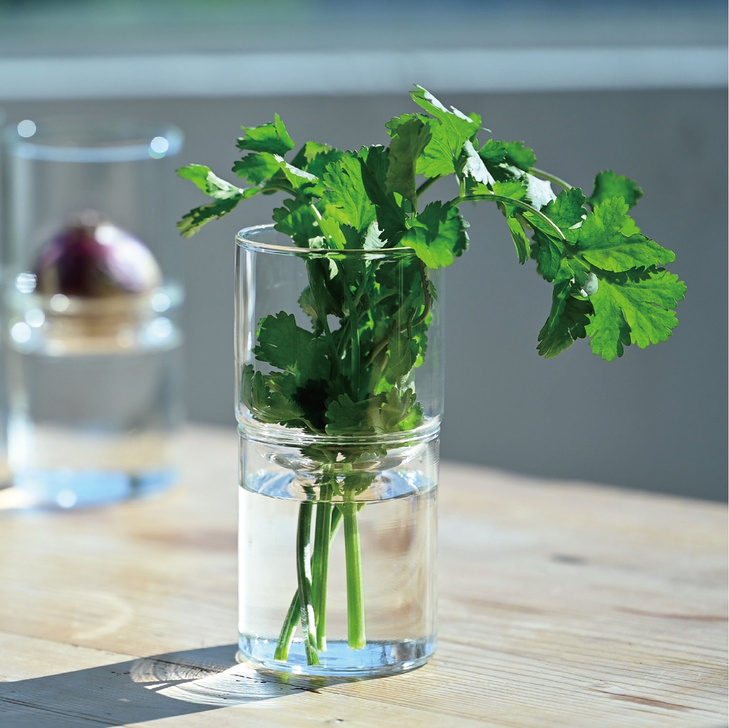 ガラスのある生活 ガラスの花器 – HARIO NETSHOP