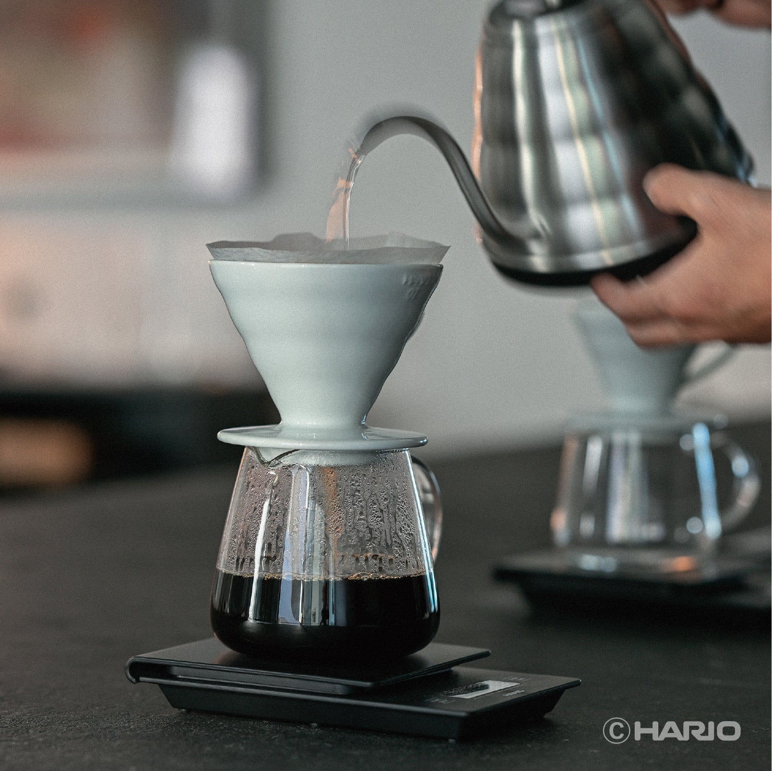 V60 バリスタサーバー 360 – HARIO NETSHOP