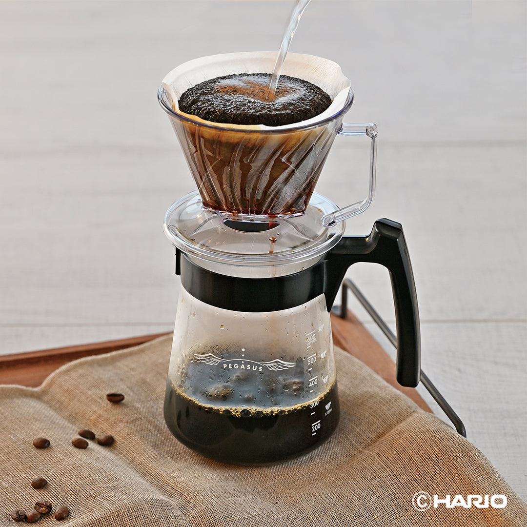 ペガサスサーバー600 – HARIO NETSHOP