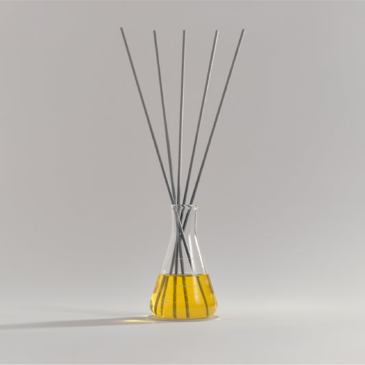 stick diffuser HARIO flask
