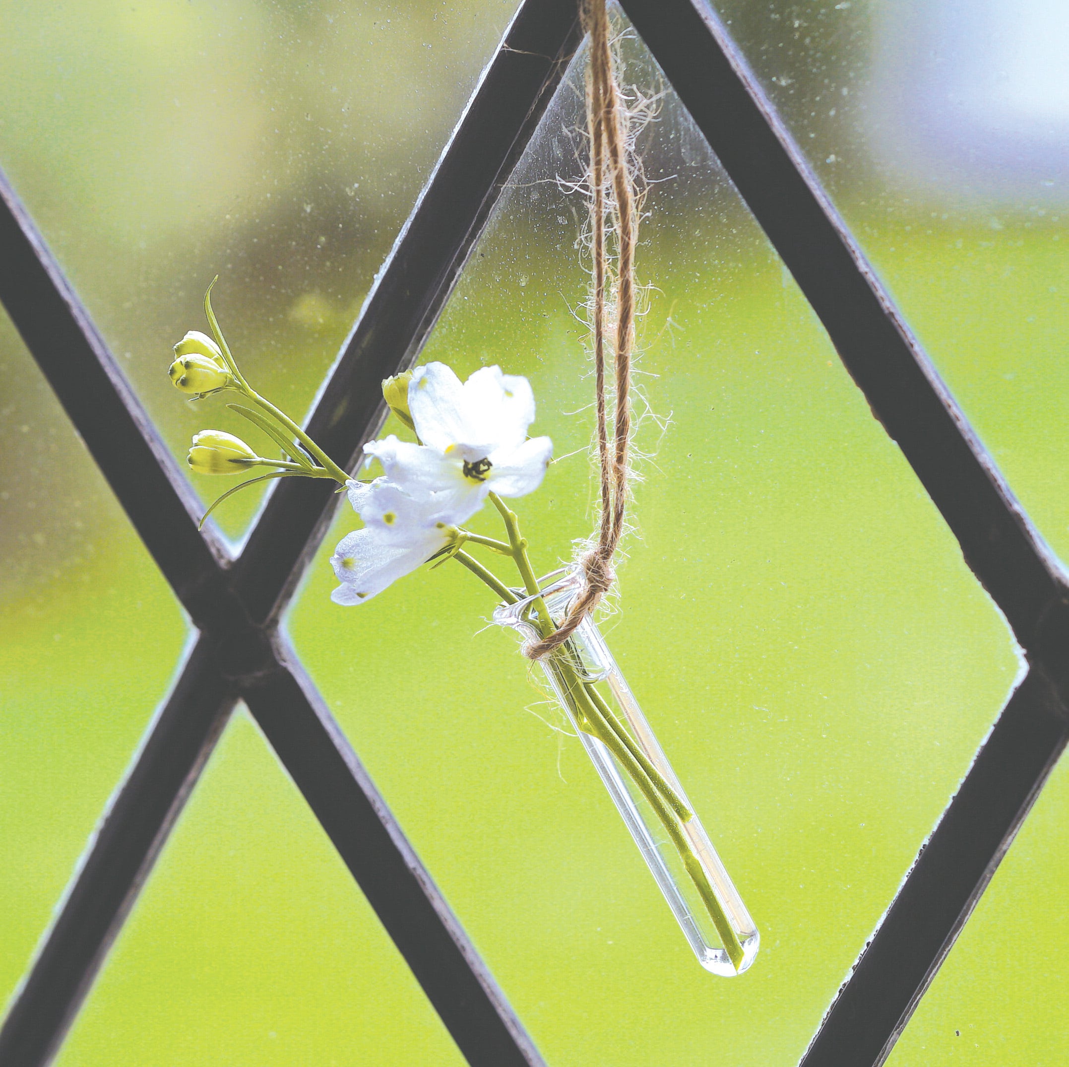 デスクアロマ・木のお家用ガラス管