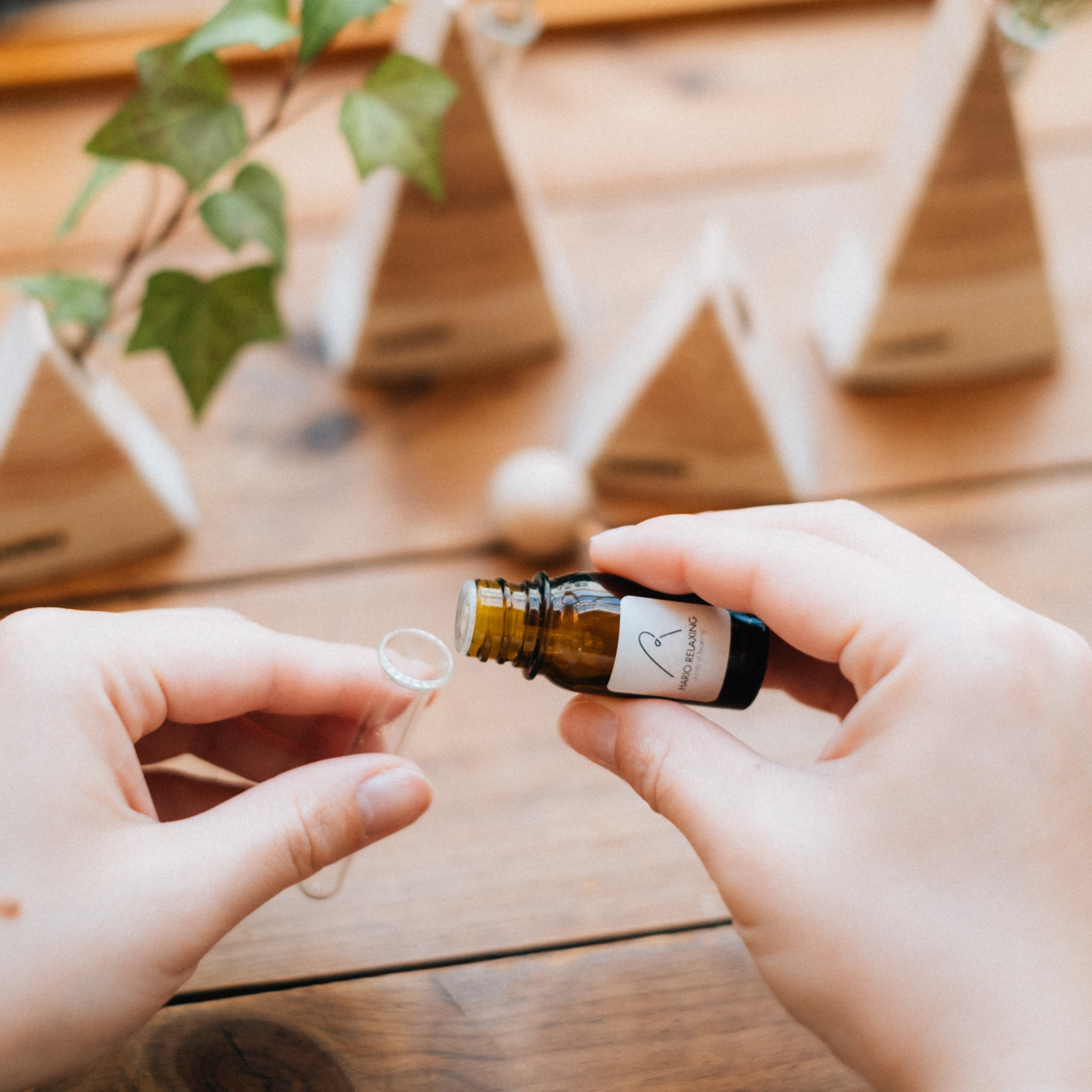 隠岐のアロマツリー