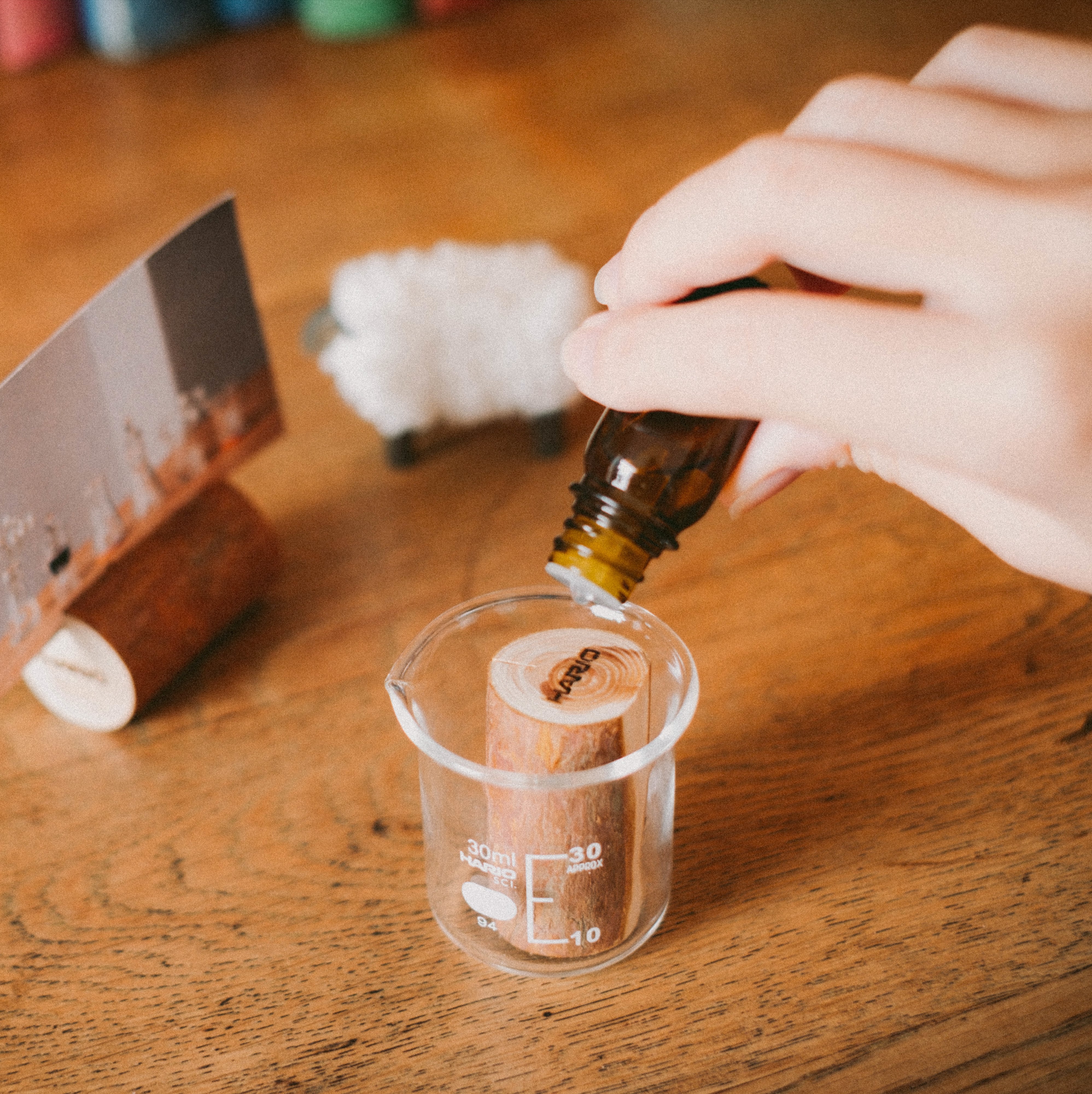 隠岐のアロマウッド小枝