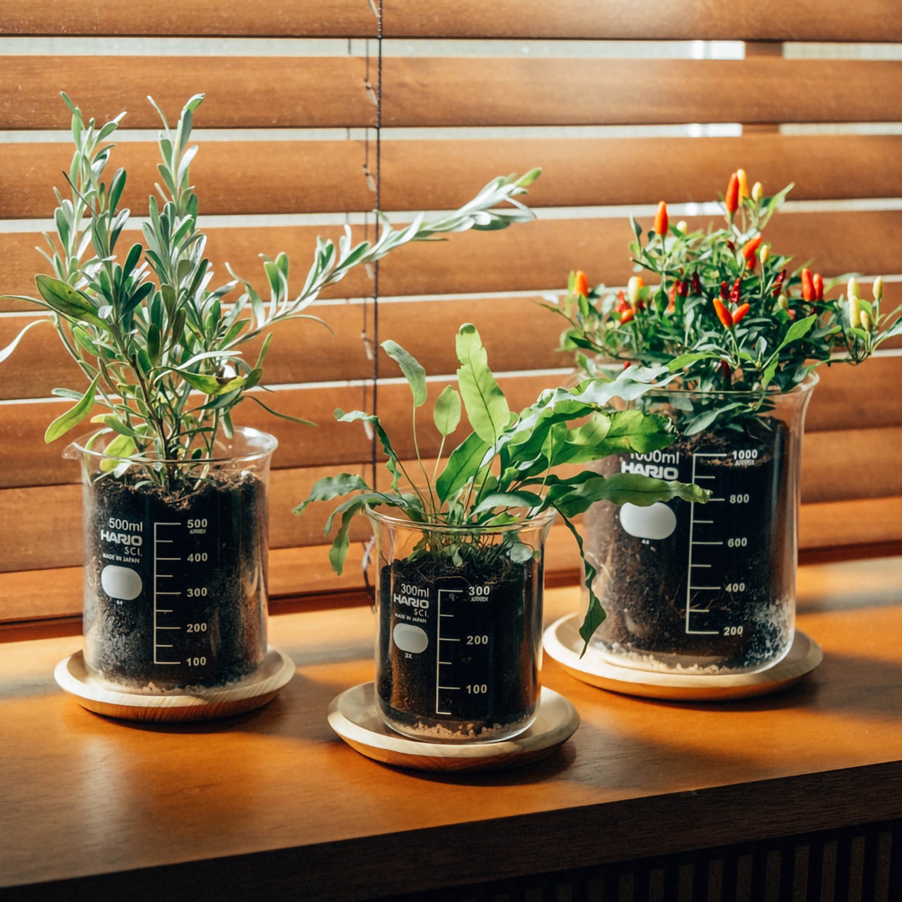 ビーカーの穴あき鉢 – HARIO NETSHOP