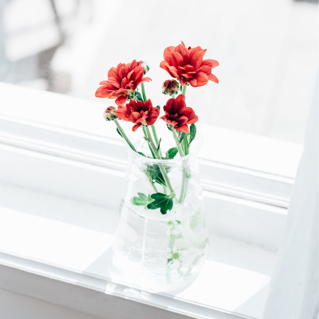 コニカルビーカー