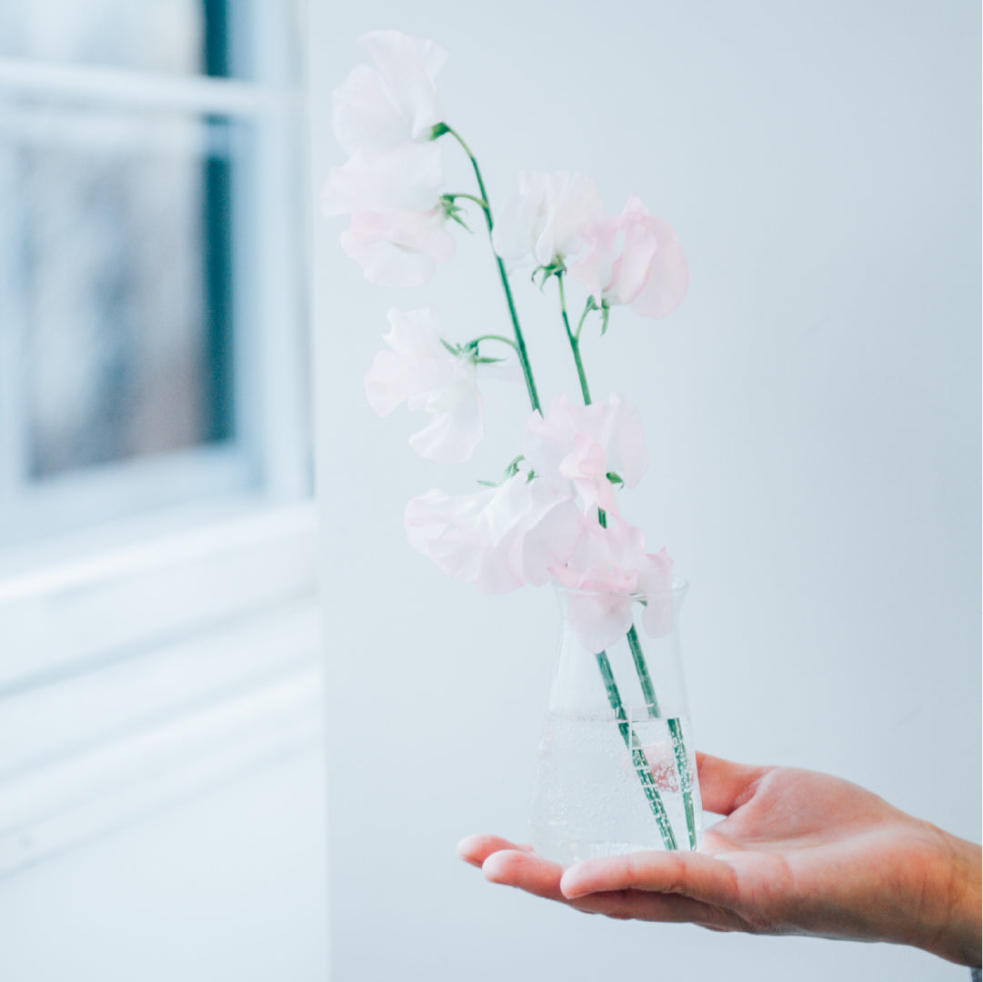 コニカルビーカー