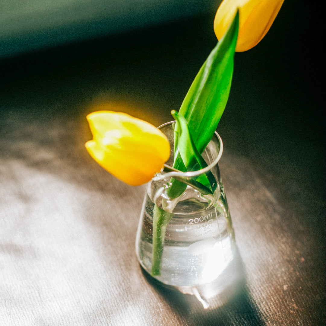 コニカルビーカー