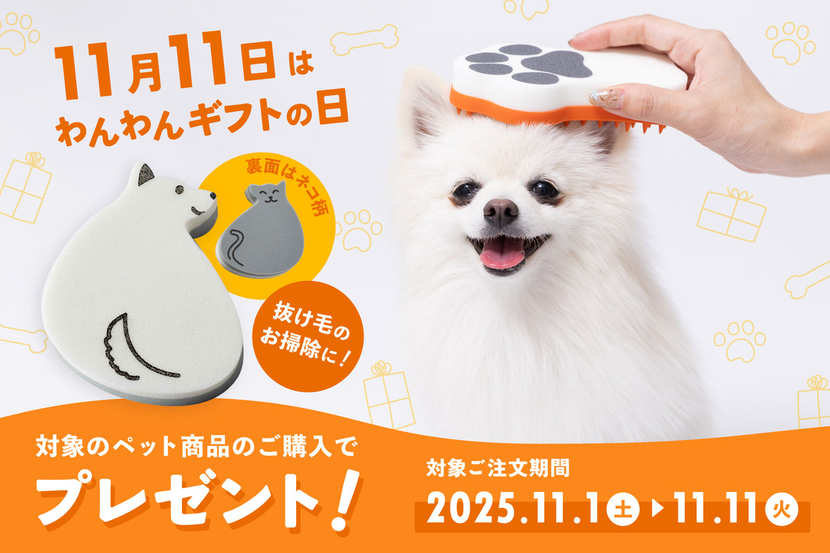 スライドショー画像