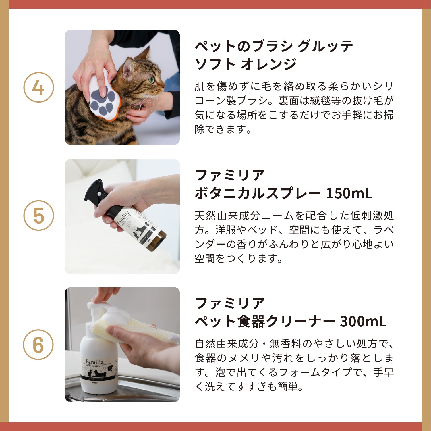 【1月26日～発送】2026年福袋　猫セット