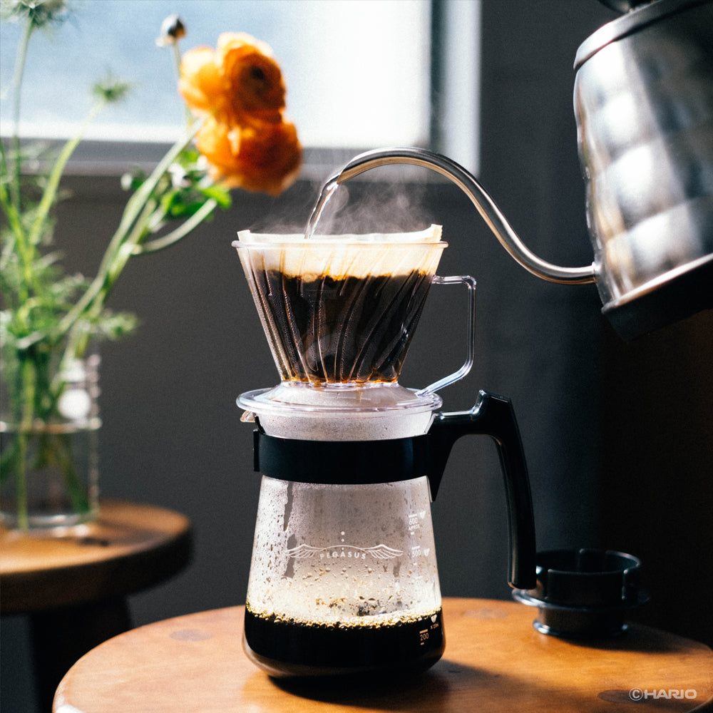ペガサスサーバー600 – HARIO NETSHOP