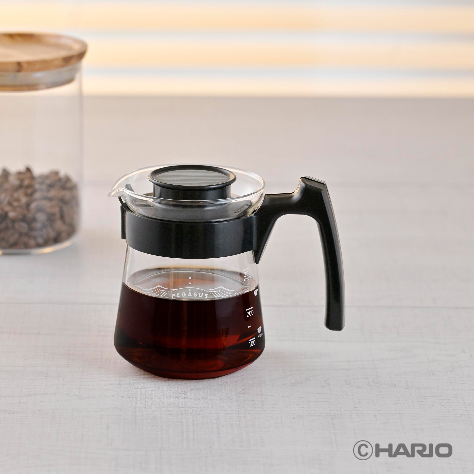 ペガサスサーバー300 – HARIO NETSHOP