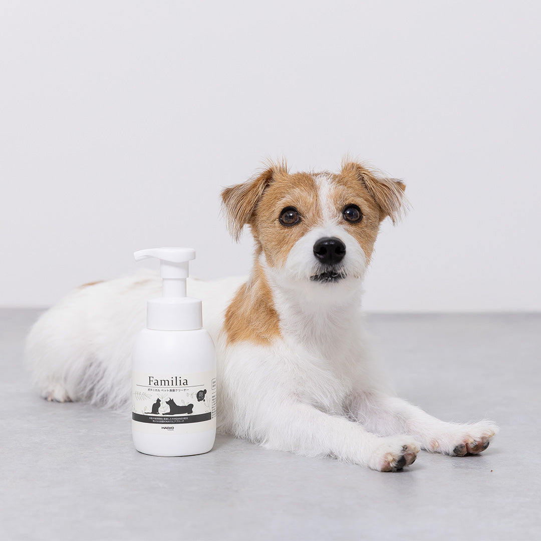ファミリア 犬猫用食器ヌメリとりクリーナー –食器用洗剤なら HARIO