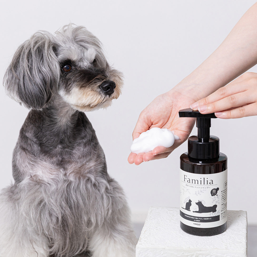 ファミリア ボタニカルシャンプー – HARIO NETSHOP
