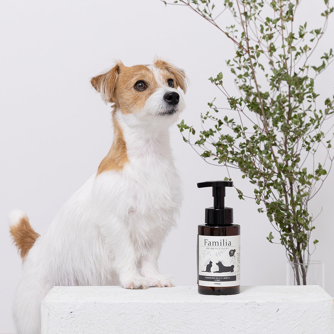 ファミリア ボタニカルシャンプー – HARIO NETSHOP