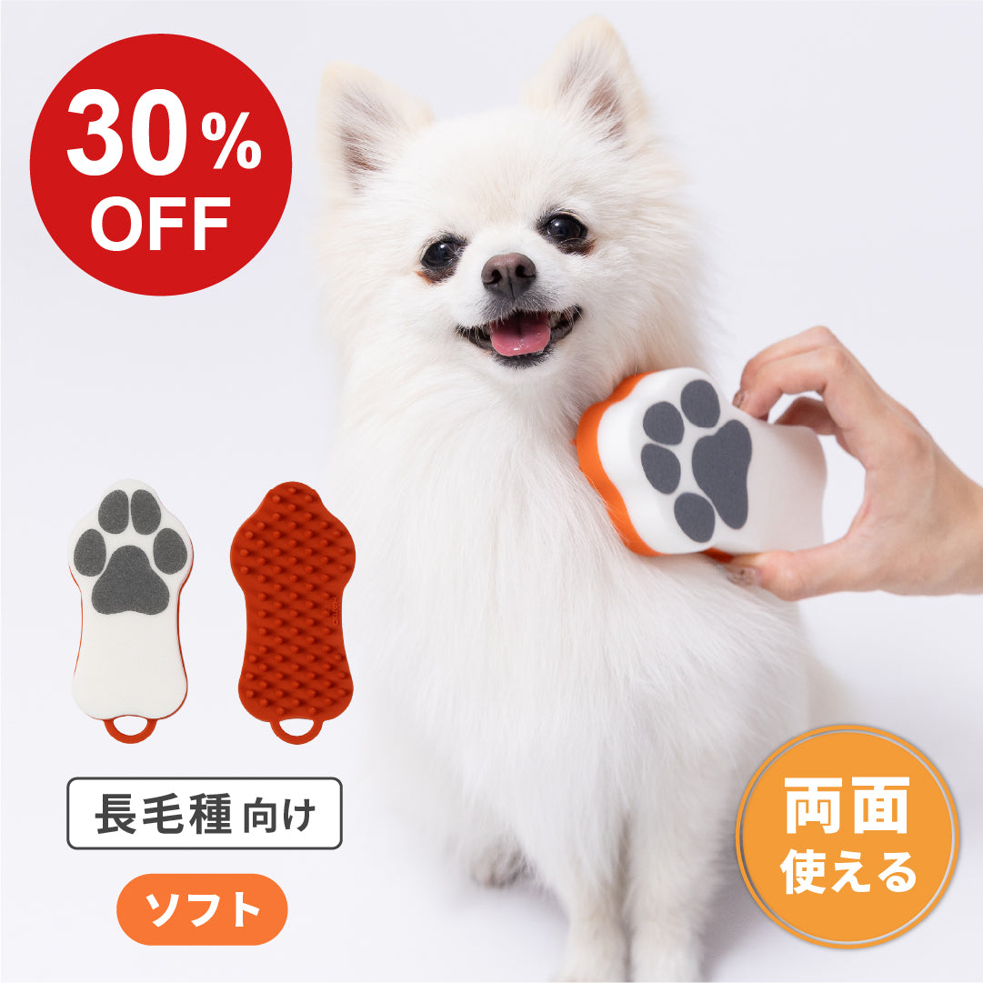 【SALE】ペットのブラシ　グルッテ　ソフト　オレンジ