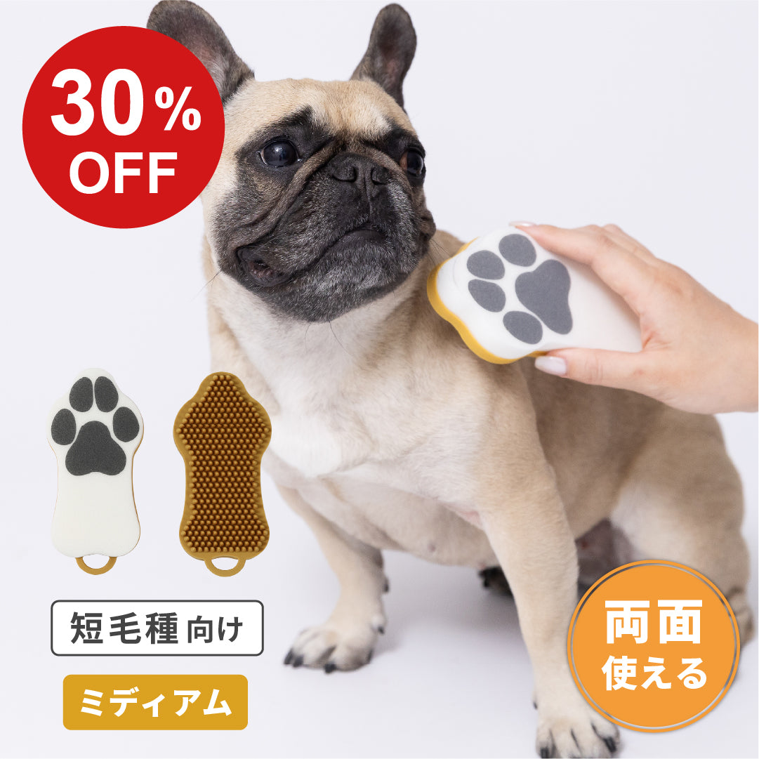 【SALE】ペットのブラシ グルッテ 短毛種 ミディアム マスタードイエロー