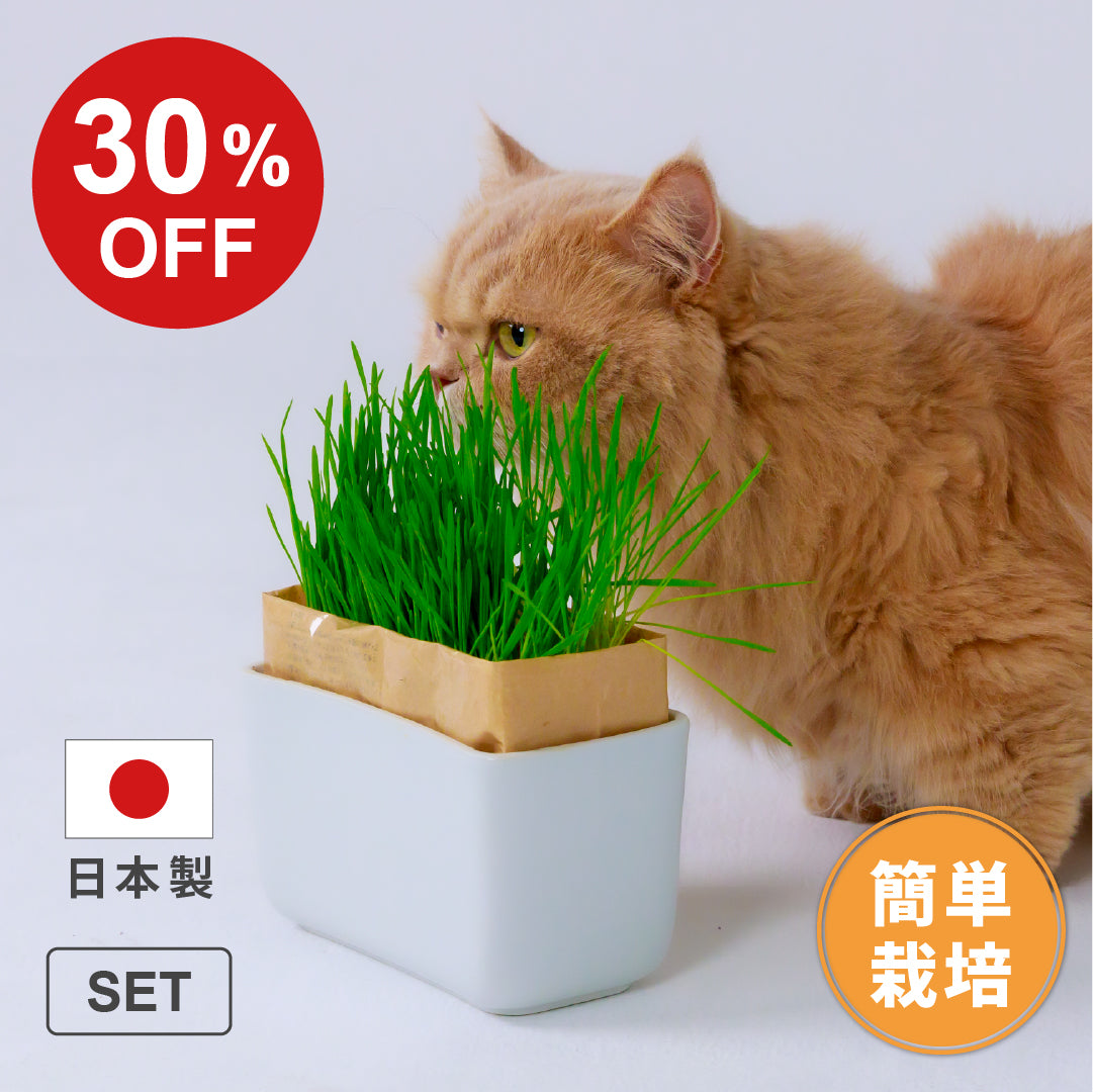 【SALE】猫草栽培キット にゃんベジセット