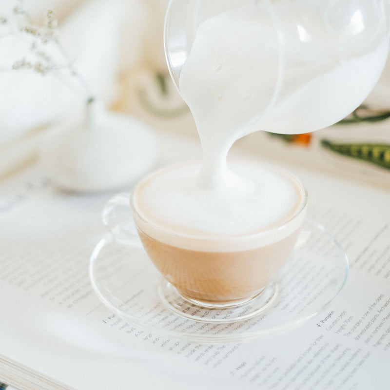 美品　45R ダンガリー　綿入りコンパクトブルゾン 45R葉山ものがたり コノッキ君ベタッチプリントの908裏毛