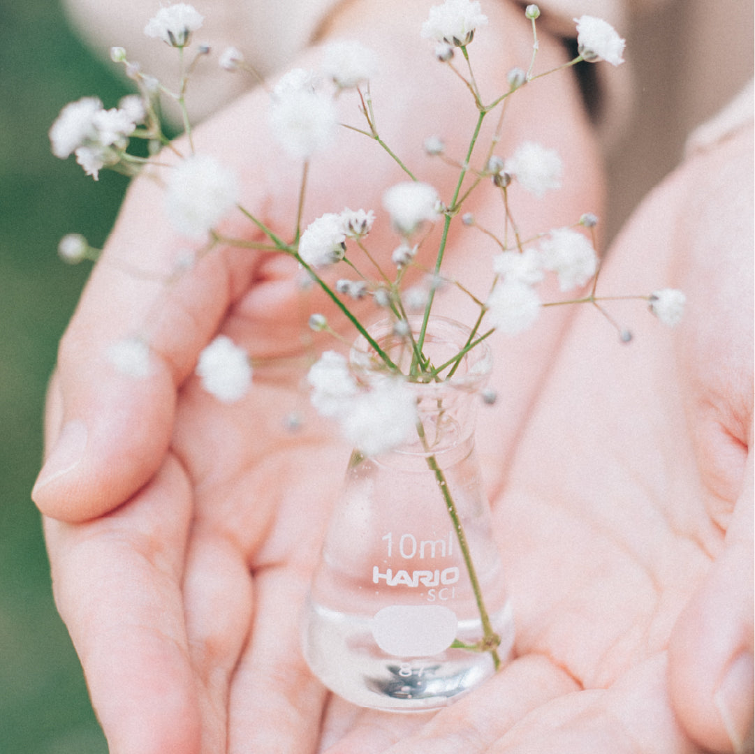 三角フラスコ – HARIO NETSHOP