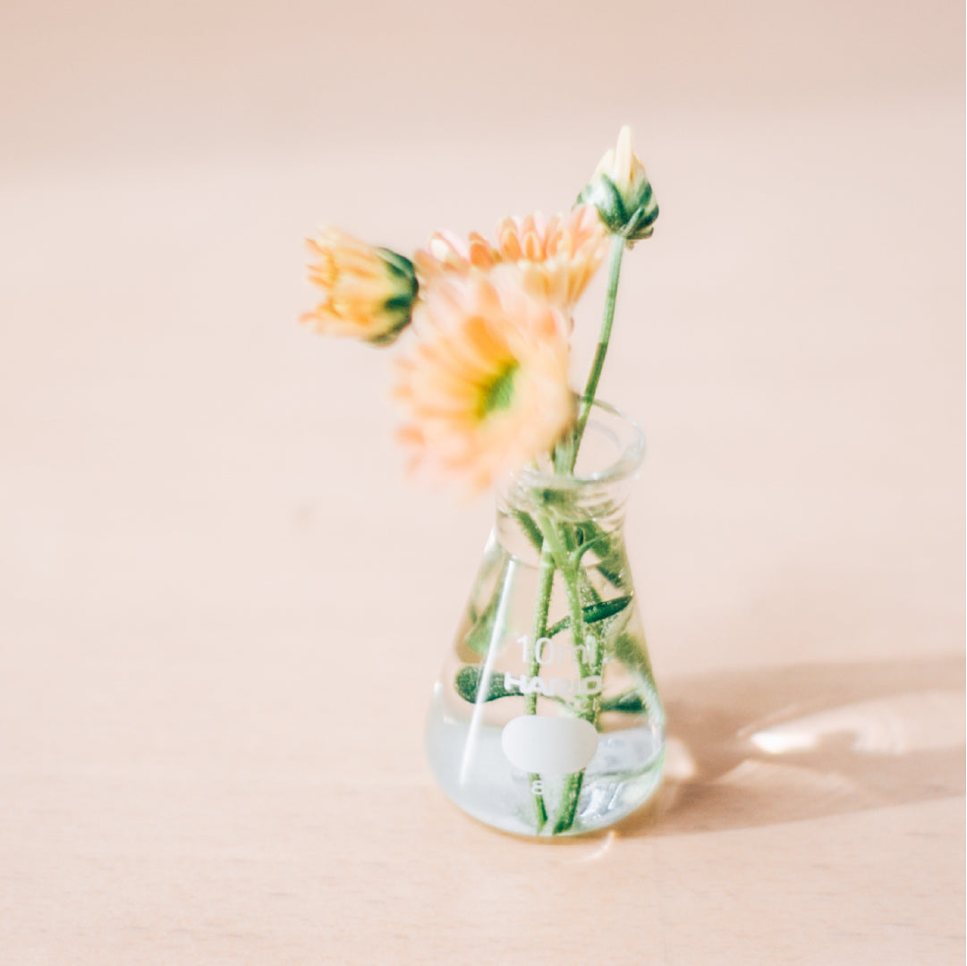 三角フラスコ – HARIO NETSHOP