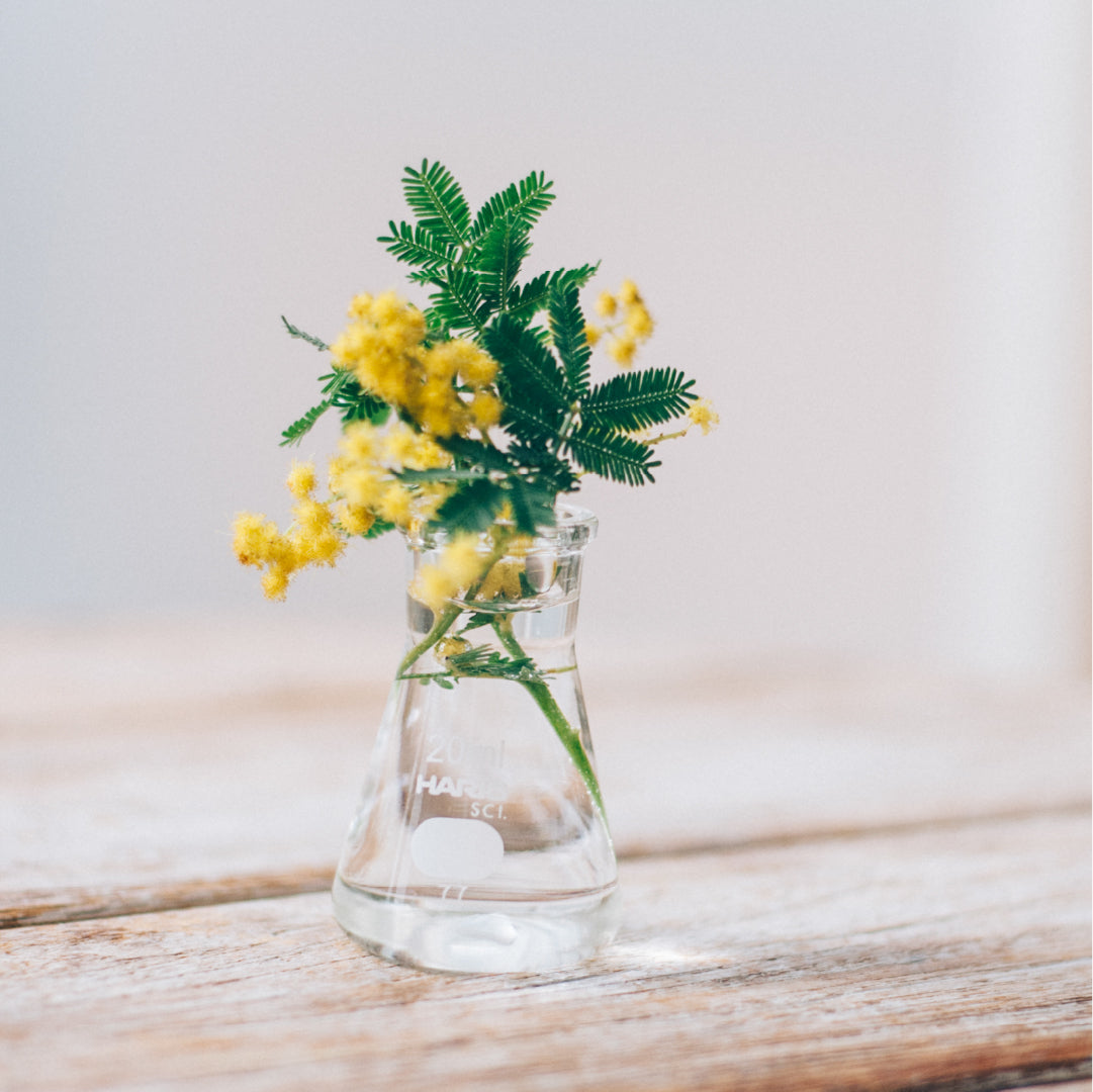 三角フラスコ – HARIO NETSHOP