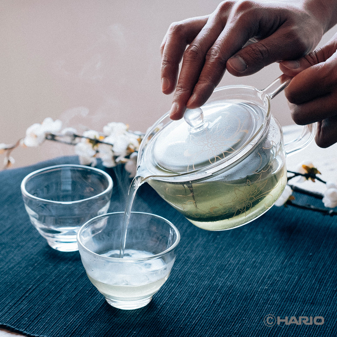 HARIO×たち吉 茶茶急須 禅 –TEAならHARIO NETSHOP