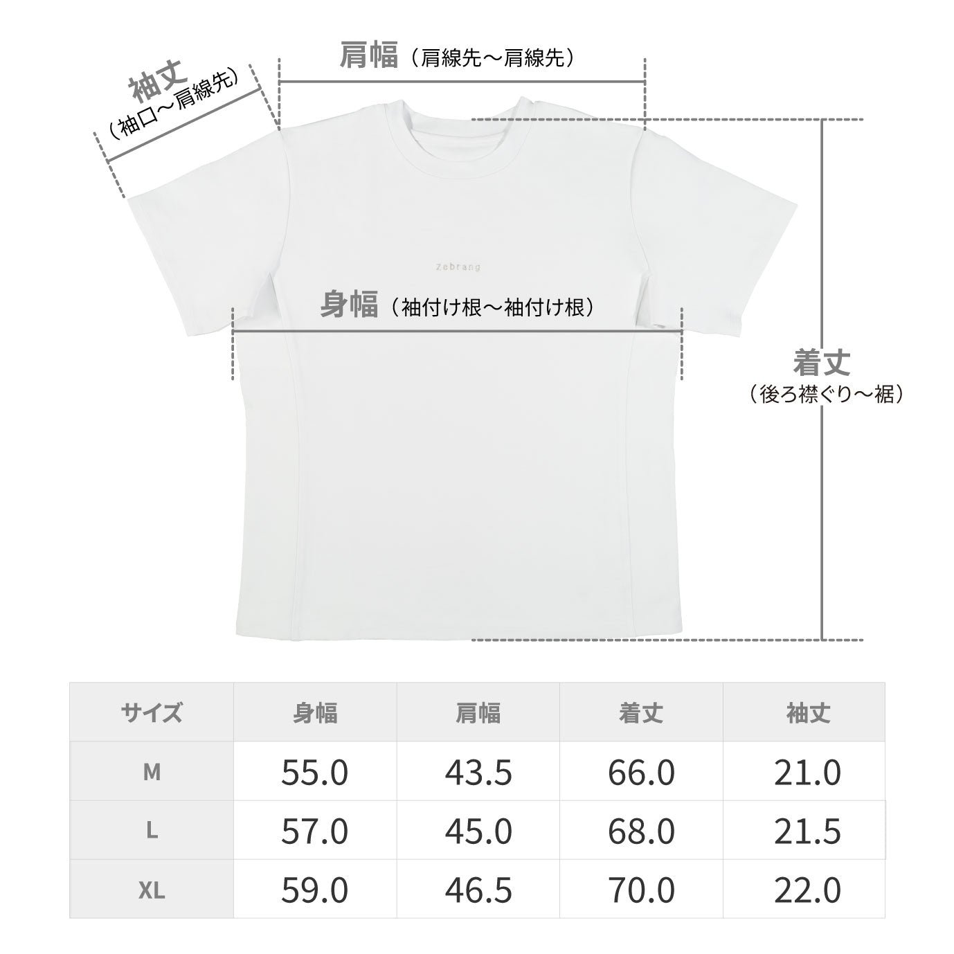 3月中旬～発送予定】ゼブランTシャツ – HARIO NETSHOP