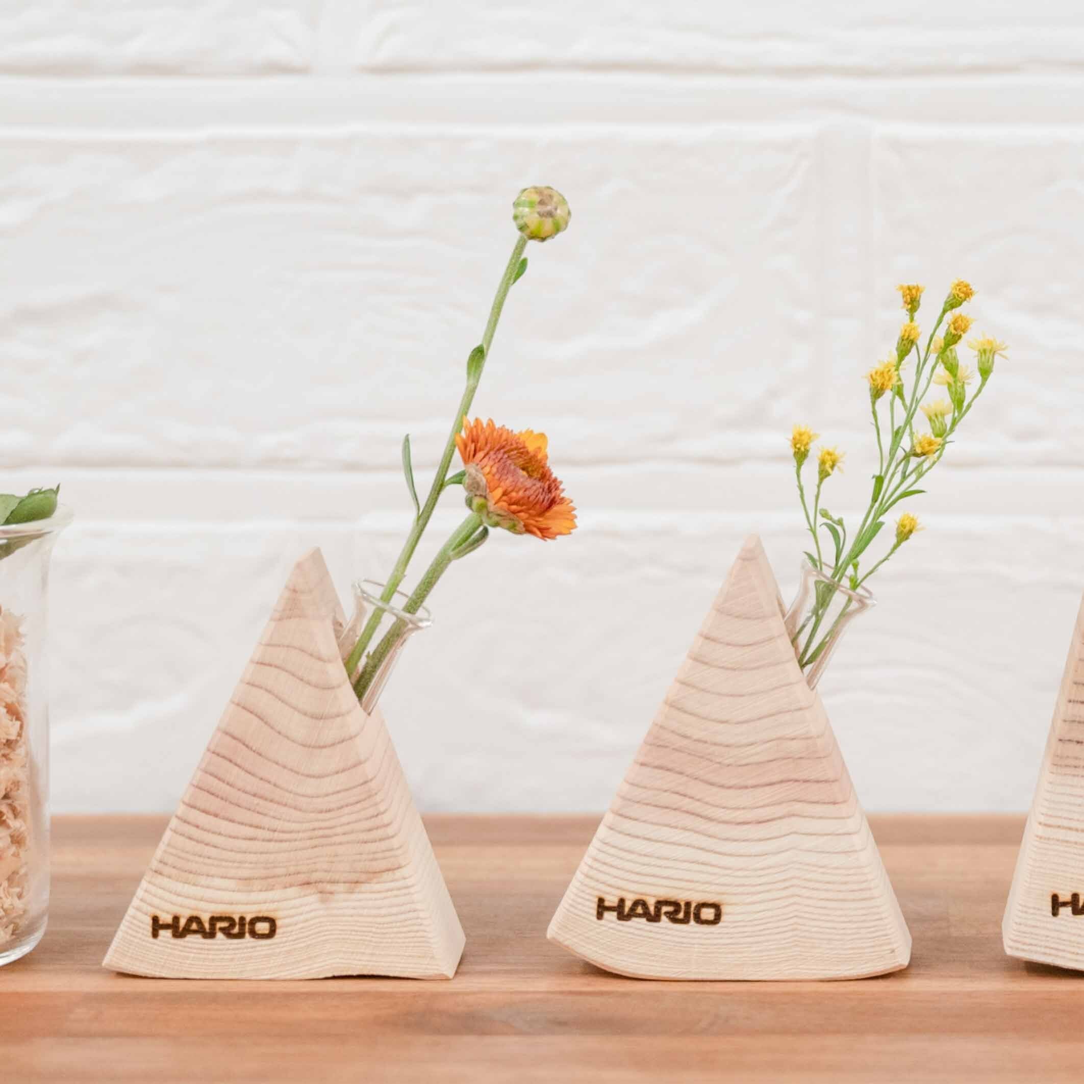 隠岐のアロマツリー