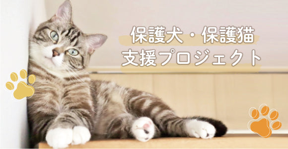 猫草栽培キット にゃんベジセット – HARIO NETSHOP