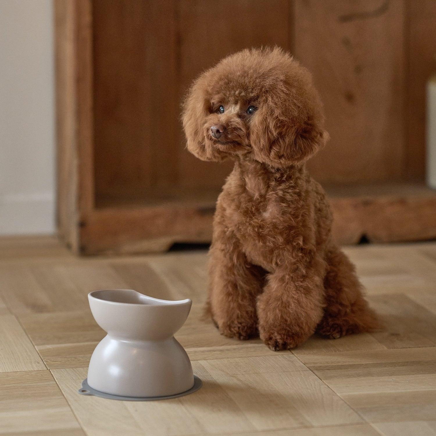 INK セラミックフードボウル Tall – HARIO NETSHOP