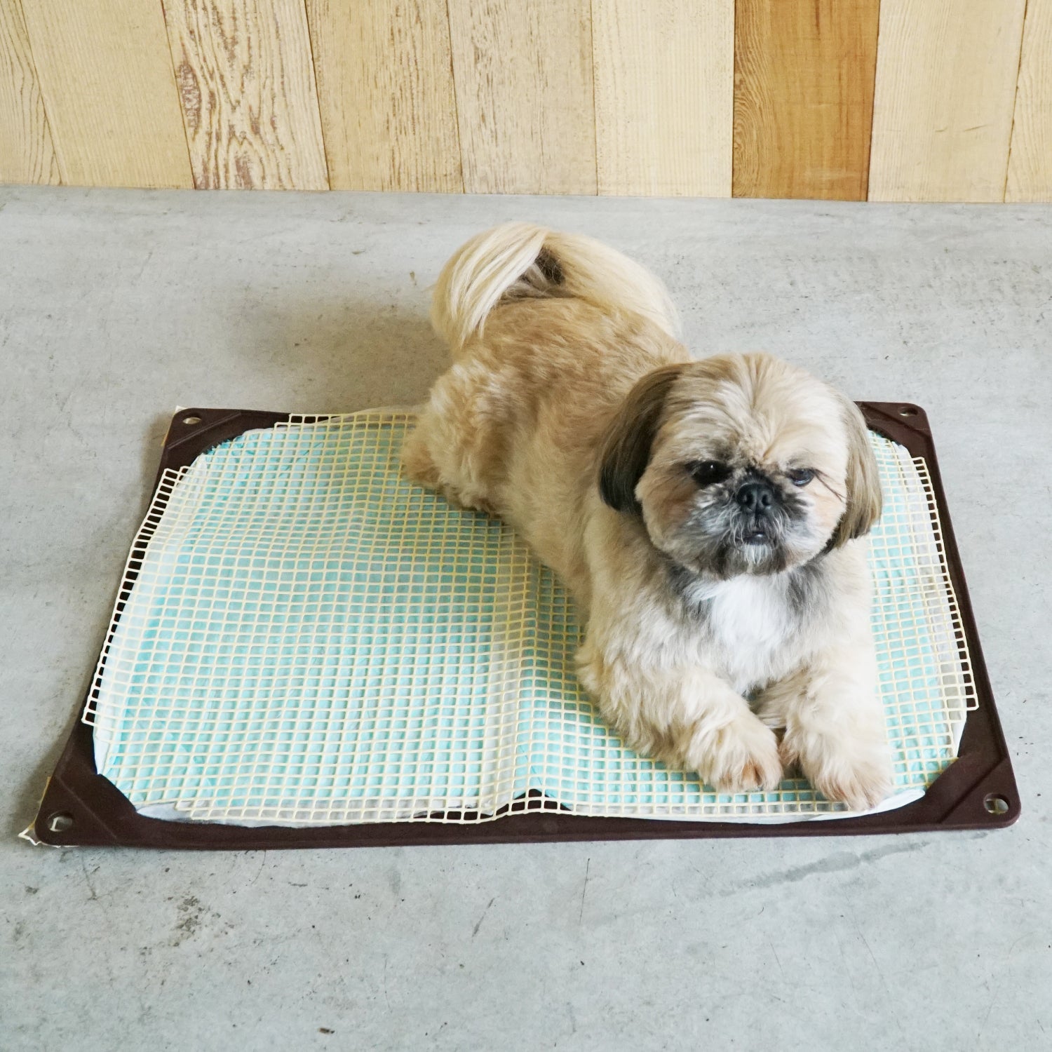 ハリオ ワンコトイレマットJワイド ブラウン ハリオ ワンコトイレマットJワイド ブラウン HARIO ハリオ シリコン製