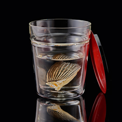 ガラスのヒレ酒カップ1合用 –DRINKならHARIO NETSHOP