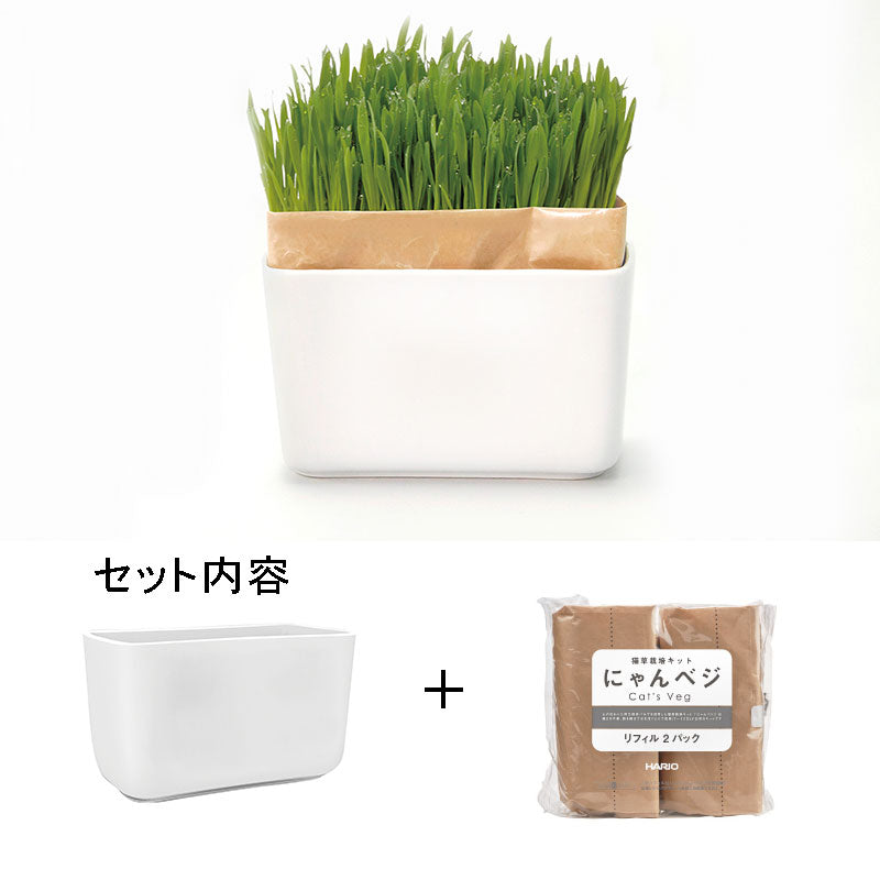 猫草栽培キット にゃんベジセット – HARIO NETSHOP