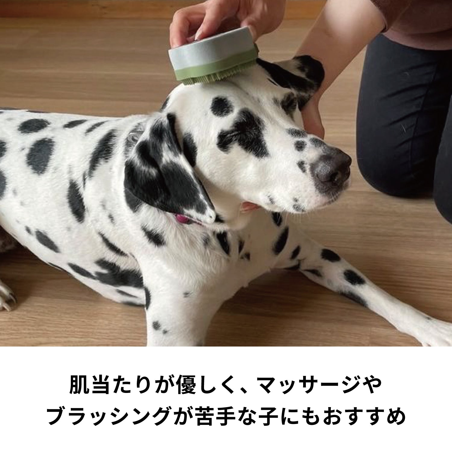 ペットのブラシ グルッテ 短毛種 ハード オリーブグリーン –ブラシなら