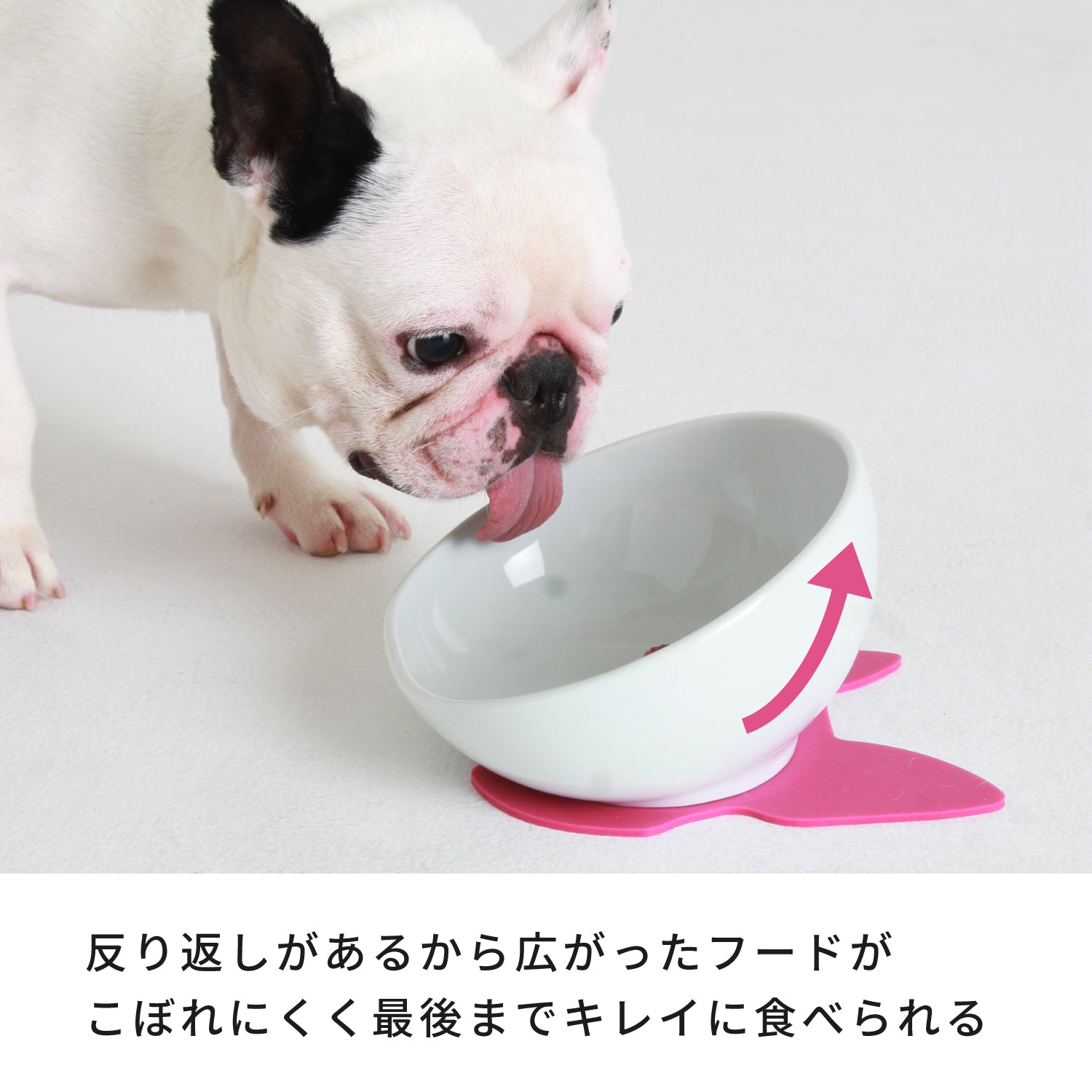 ザ・フード☆フレンチブルドッグ専用 THE fu-do(ザ・フード)フレンチブルドッグ専用ドッグフード