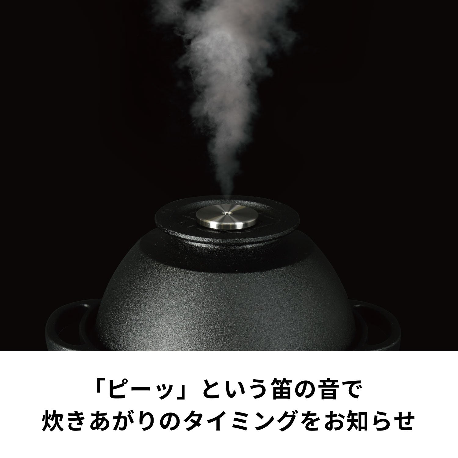 ゼブランライスオーブン