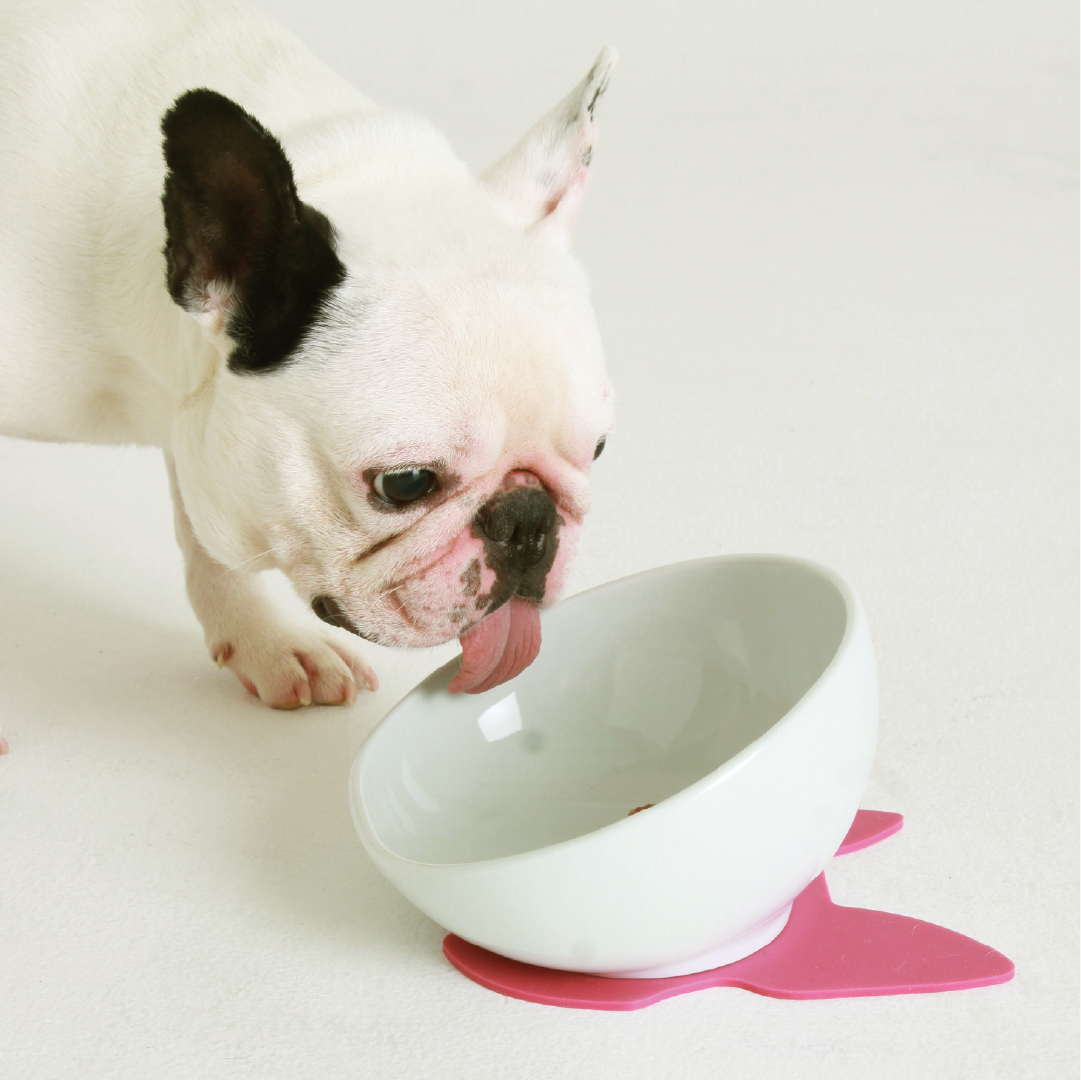 フレンチブルドッグ様 剣先5枚入約112g 約113g 約113g 約115g 51svdwwf5uL. フレンチブルドッグ様 剣先5枚入約112g 約113g 約113g 約115g 51svdwwf5uL.