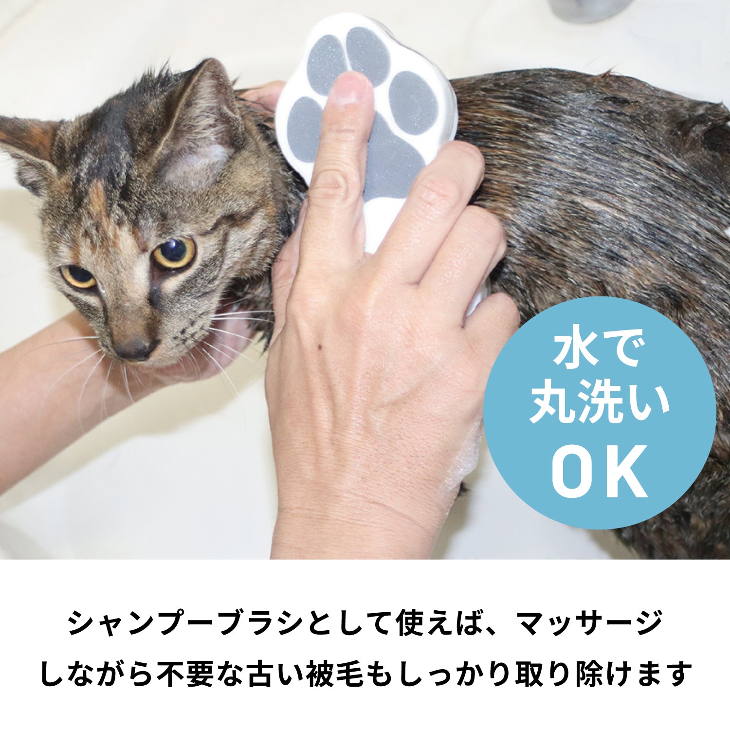 ペットのブラシ グルッテ 短毛種 ハード オリーブグリーン –ブラシなら